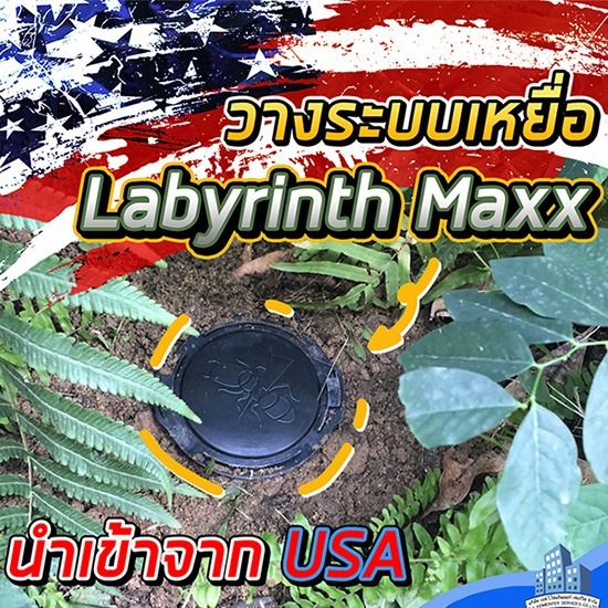 กำจัดปลวกด้วยระบบเหยื่อ นนทบุรี กำจัดปลวกด้วยระบบเหยื่อ นนทบุรี