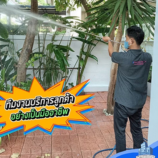บริษัทกำจัดปลวก บางบัวทอง - กำจัดปลวก บางบัวทอง เอส วี โฮมอินเตอร์