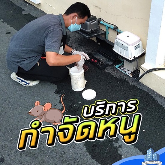 รับกำจัดหนู บางบัวทอง
