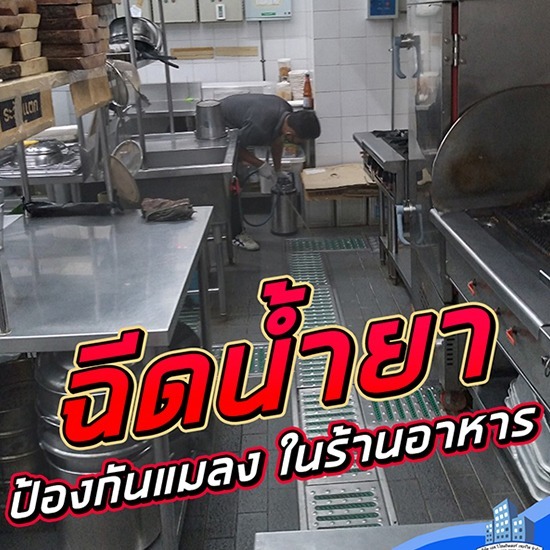 บริการฉีดน้ำยาป้องกันแมลงรบกวน บางบัวทอง บริการฉีดน้ำยาป้องกันแมลงรบกวน บางบัวทอง