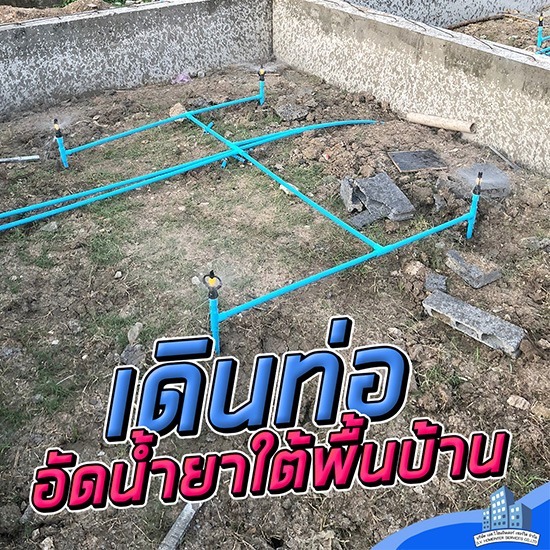 อัดน้ํายาปลวกบางบัวทอง ราคาถูก