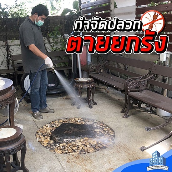 กำจัดปลวกตายยกรัง บางบัวทอง