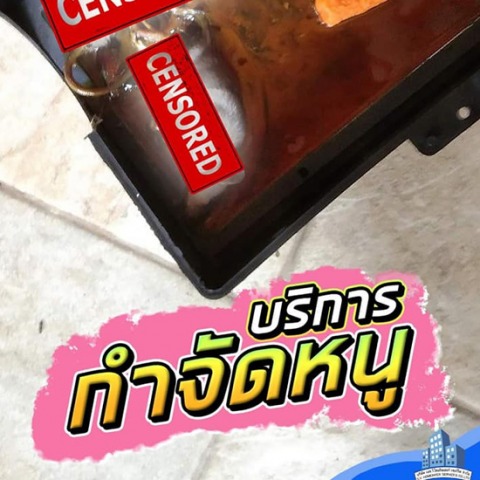 บริการกำจัดหนูบ้าน หนูในร้านอาหาร