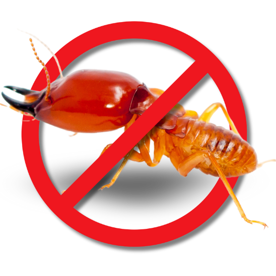 รับกำจัดปลวก