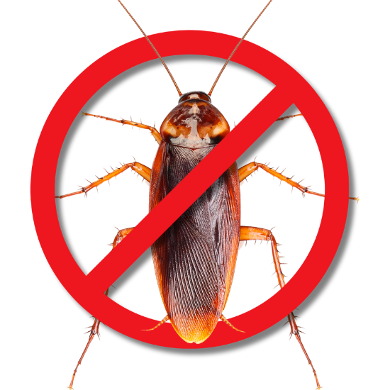 รับกำจัดแมลง