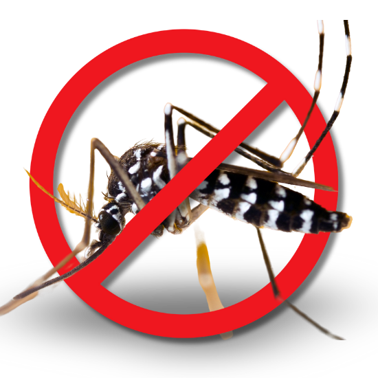 รับกำจัดยุง